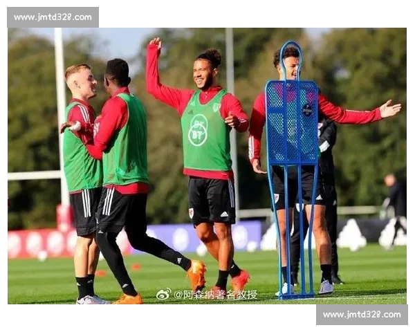 拒绝温格的男人：前斯旺西队长威廉斯的忠诚与荣光